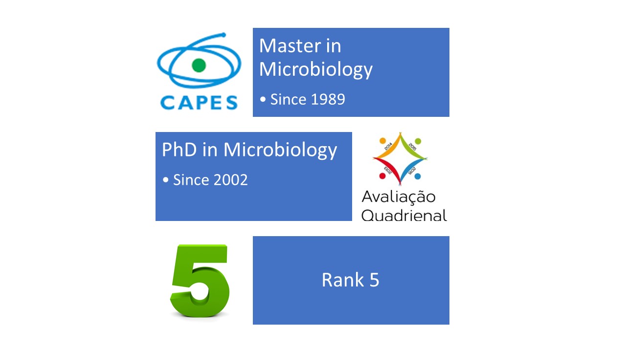 Graduate Program in Microbiology – Pós-graduação em Microbiologia