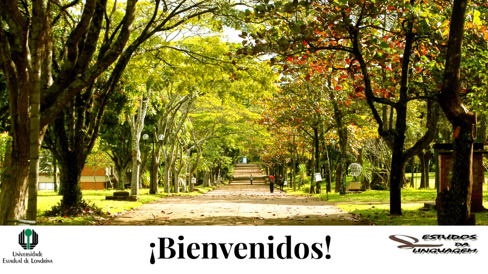 WhatsApp Image 2025-07-02 at 18.00.27 (2)